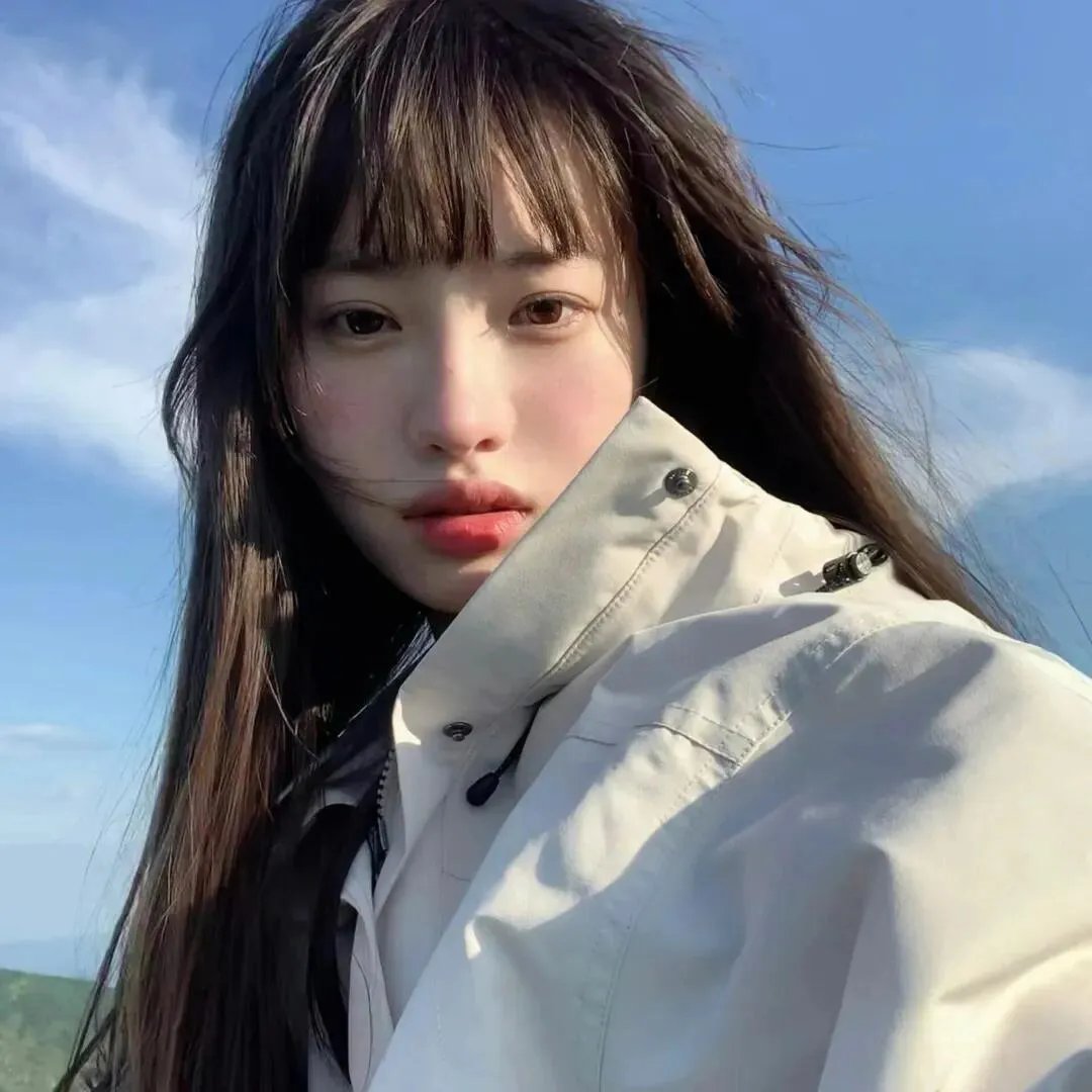 与鲨鱼游弋